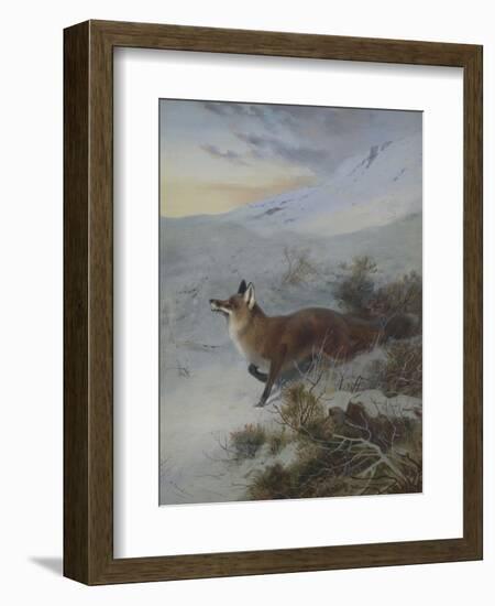 A Fox in a Winter Landscape-Archibald Thorburn-Framed Premium Giclee Print