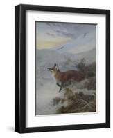 A Fox in a Winter Landscape-Archibald Thorburn-Framed Premium Giclee Print