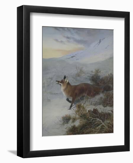 A Fox in a Winter Landscape-Archibald Thorburn-Framed Premium Giclee Print