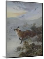 A Fox in a Winter Landscape-Archibald Thorburn-Mounted Premium Giclee Print