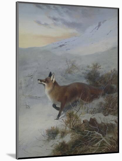 A Fox in a Winter Landscape-Archibald Thorburn-Mounted Premium Giclee Print