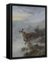 A Fox in a Winter Landscape-Archibald Thorburn-Framed Stretched Canvas