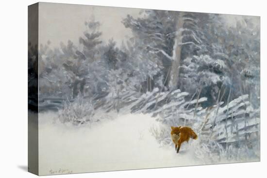 A Fox in Winter Woods, 1928-Bruno Andreas Liljefors-Stretched Canvas