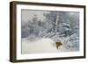 A Fox in Winter Woods, 1928-Bruno Andreas Liljefors-Framed Giclee Print