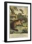 A Fox Jumped Up on a Moonlight Night-null-Framed Giclee Print