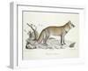 A Fox-Werner-Framed Giclee Print