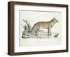 A Fox-Werner-Framed Giclee Print