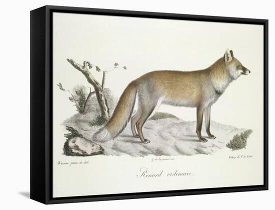 A Fox-Werner-Framed Stretched Canvas