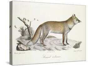 A Fox-Werner-Stretched Canvas