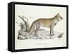 A Fox-Werner-Framed Stretched Canvas