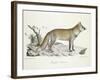 A Fox-Werner-Framed Giclee Print