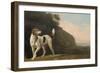 A Foxhound, C.1760 (Oil on Paper Laid on Board)-George Stubbs-Framed Giclee Print