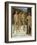 A Fragment: Four Male Nude Figures, C.1505-Pietro Perugino-Framed Giclee Print