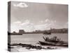 A Fraserburgh Herring Boat Returns to Port Escorted by a Squadron of Sea Gulls, 1935-null-Stretched Canvas