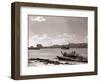 A Fraserburgh Herring Boat Returns to Port Escorted by a Squadron of Sea Gulls, 1935-null-Framed Photographic Print