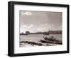 A Fraserburgh Herring Boat Returns to Port Escorted by a Squadron of Sea Gulls, 1935-null-Framed Photographic Print