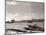 A Fraserburgh Herring Boat Returns to Port Escorted by a Squadron of Sea Gulls, 1935-null-Mounted Photographic Print