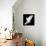 A Free Flying White Dove Isolated On A Black Background-Irochka-Framed Stretched Canvas displayed on a wall