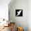 A Free Flying White Dove Isolated On A Black Background-Irochka-Stretched Canvas displayed on a wall