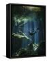 A Freediver in Taj Mahal Cenote in Mexico-null-Framed Stretched Canvas