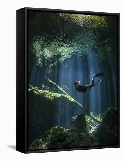 A Freediver in Taj Mahal Cenote in Mexico-null-Framed Stretched Canvas
