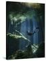 A Freediver in Taj Mahal Cenote in Mexico-null-Stretched Canvas