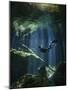 A Freediver in Taj Mahal Cenote in Mexico-null-Mounted Photographic Print