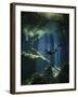 A Freediver in Taj Mahal Cenote in Mexico-null-Framed Photographic Print