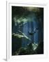 A Freediver in Taj Mahal Cenote in Mexico-null-Framed Photographic Print