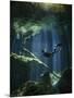 A Freediver in Taj Mahal Cenote in Mexico-null-Mounted Photographic Print