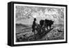 A French Agriculturist, C1890-null-Framed Stretched Canvas