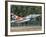 A French Air Force Mirage 2000 Lands on the Runway at Kleine Brogel Air Base, Belgium-Stocktrek Images-Framed Photographic Print