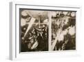 White Frame