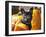 A French Bulldog Sitting Between a Row of Pumpkins-Zandria Muench Beraldo-Framed Premium Photographic Print