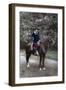 A French Soldier on Horseback, Western Front, 1915-null-Framed Giclee Print