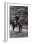 A French Soldier on Horseback, Western Front, 1915-null-Framed Giclee Print