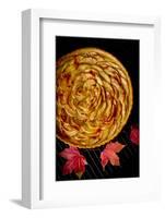 A Fresh Baked French Apple Tart with Colorful Fall Leaves Placed on a Cooling Rack-Cynthia Classen-Framed Photographic Print