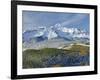 A Fresh Blanket of Snow on Mount Wilson Signifies a Change of Seasons in the Rocky Mountains.-Howard Newcomb-Framed Photographic Print