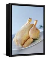 A Fresh Chicken-Ulrike Koeb-Framed Stretched Canvas