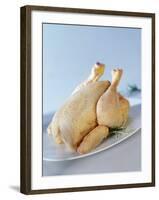 A Fresh Chicken-Ulrike Koeb-Framed Photographic Print