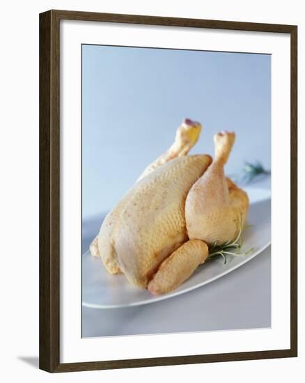 A Fresh Chicken-Ulrike Koeb-Framed Photographic Print