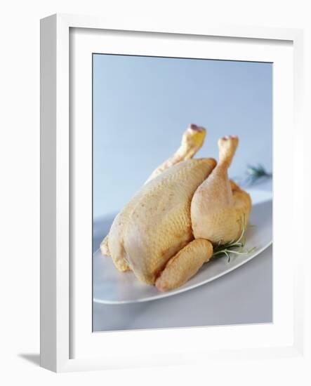 A Fresh Chicken-Ulrike Koeb-Framed Photographic Print