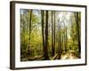 A Fresh New Morning-Danny Head-Framed Art Print