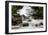 A Fresh Water Stream In The Forest Of Olympic National Park In Washington State-Jay Goodrich-Framed Photographic Print