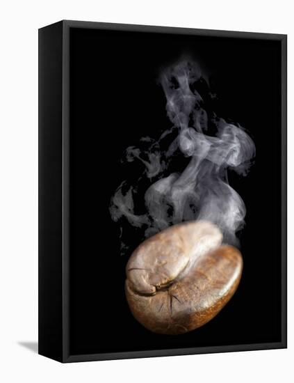 A Freshly Roasted Coffee Bean with Steam-Shawn Hempel-Framed Stretched Canvas