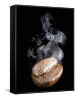 A Freshly Roasted Coffee Bean with Steam-Shawn Hempel-Framed Stretched Canvas