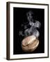 A Freshly Roasted Coffee Bean with Steam-Shawn Hempel-Framed Photographic Print