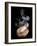 A Freshly Roasted Coffee Bean with Steam-Shawn Hempel-Framed Photographic Print