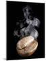 A Freshly Roasted Coffee Bean with Steam-Shawn Hempel-Mounted Photographic Print