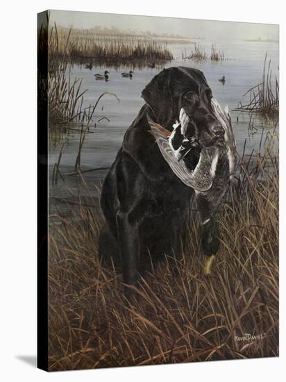 A Friend in the Marsh-Kevin Daniel-Stretched Canvas